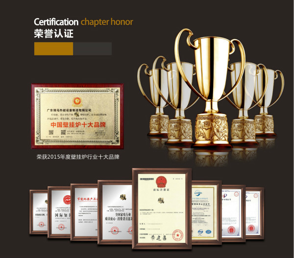 燃?xì)獗趻鞝t十大品牌瑞馬壁掛爐是進(jìn)口品牌嗎？